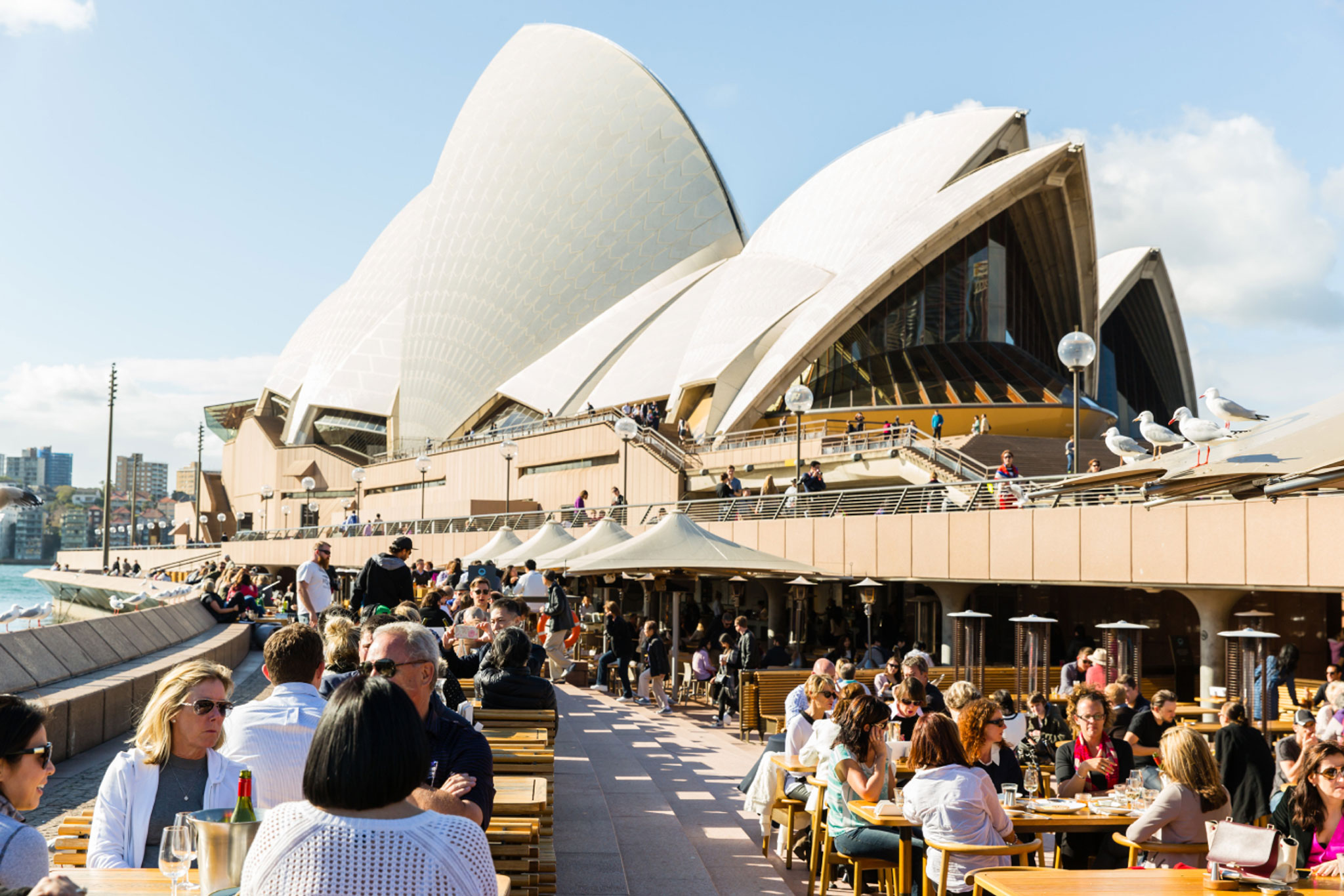 People dine at outdoor tables, overlooking the Sydney Opera House on a sunny day