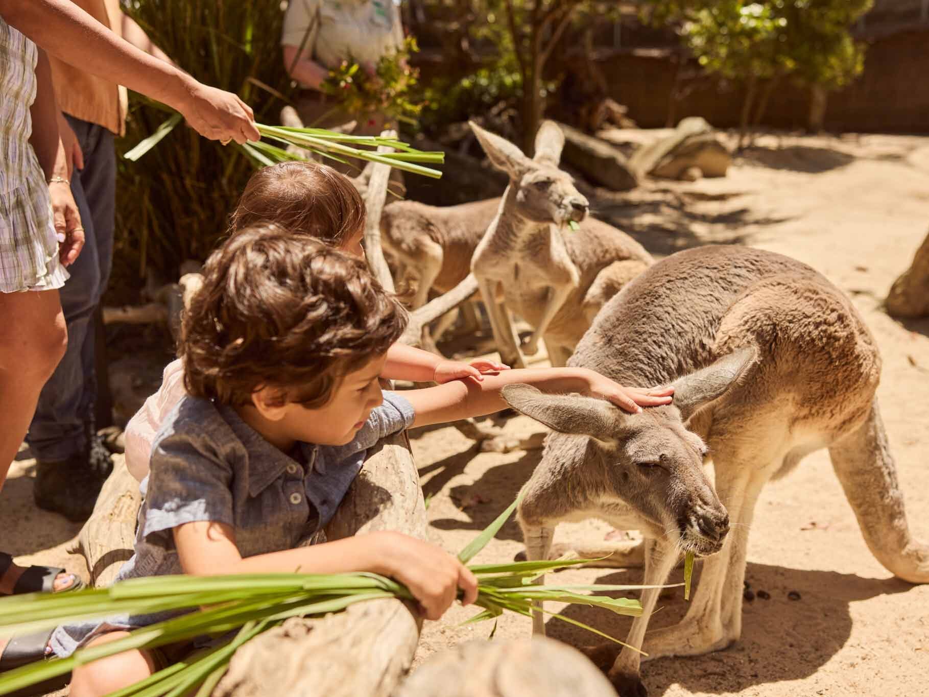 Taronga Zoo