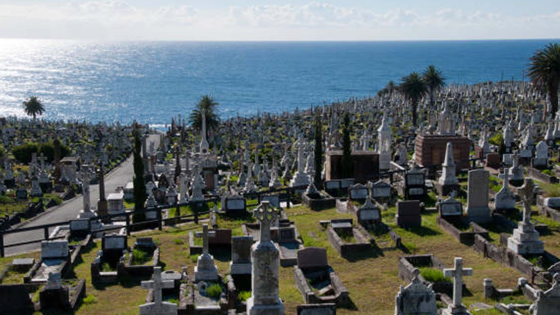 The Waverley Cemetery at Bondi.