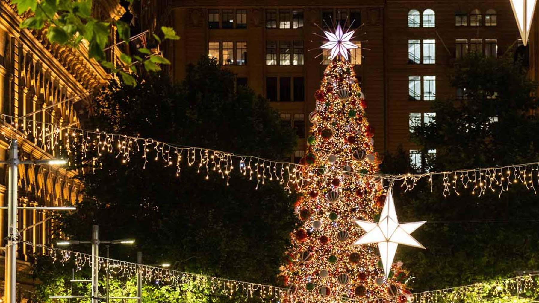Martin Place Christmas Tree, Sydney