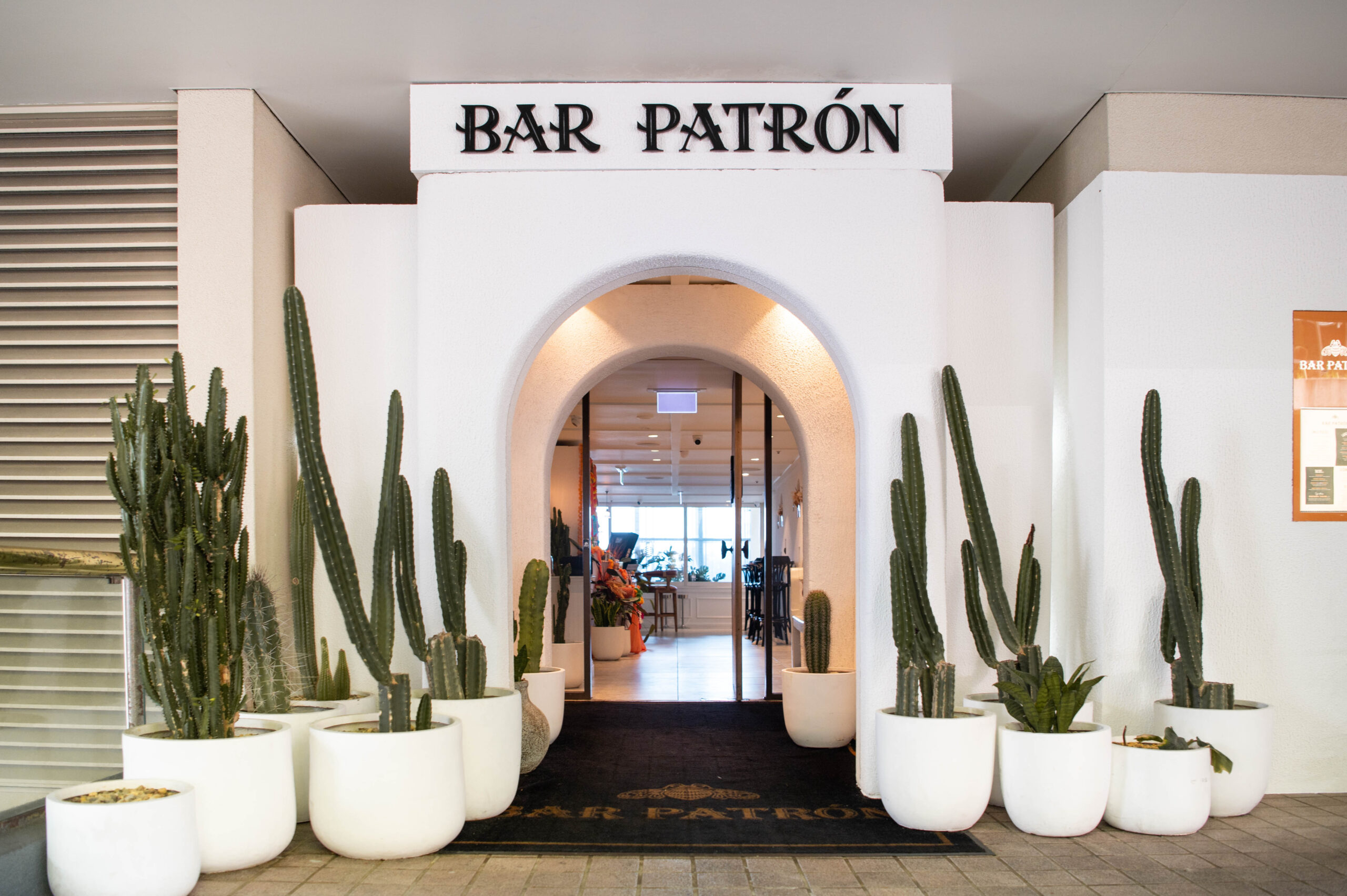 A white arched entrance to Bar Patrón is flanked by cacti in white pots