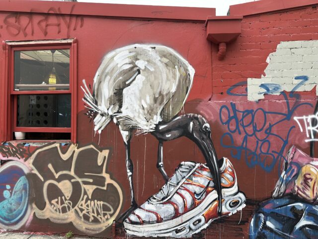 A large bird, appearing to be an ibis, is depicted examining a sneaker on a red brick wall amidst other graffiti art
