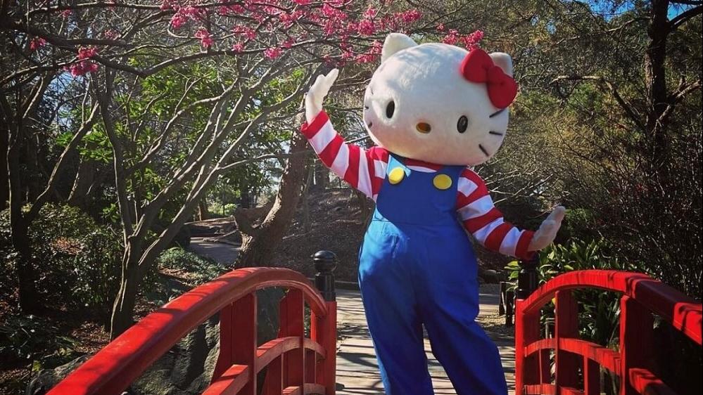 A Hello Kitty mascot waves near a red bridge in a garden with blossoming pink trees
