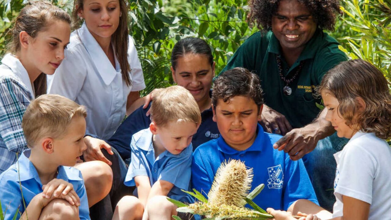 Children and adults examine a banksia flower