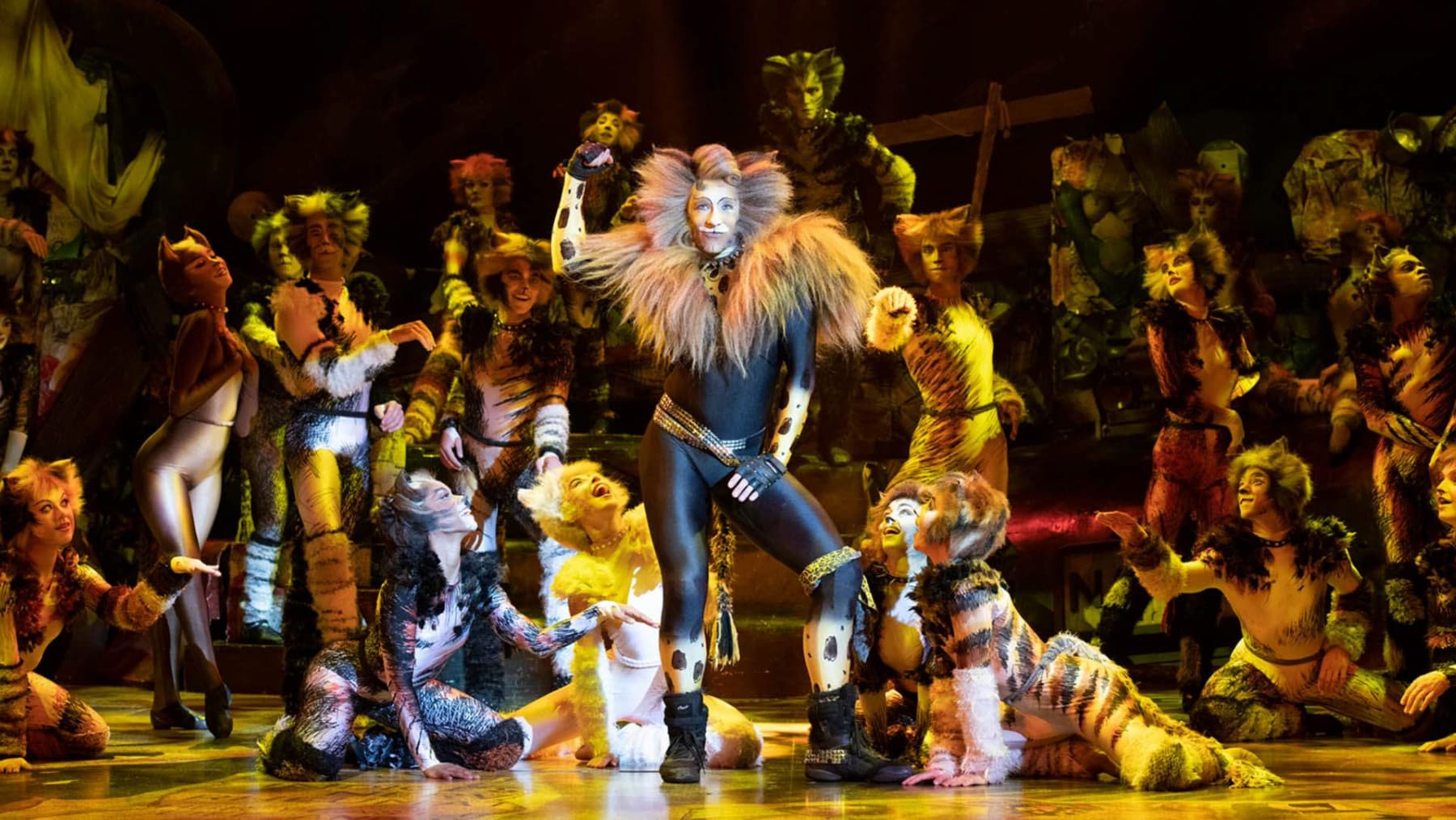 Review Cats Musical At Theatre Royal Sydney Sydney Travel Guide Review Cats Musical At Theatre Royal Sydney Sydney Travel Guide