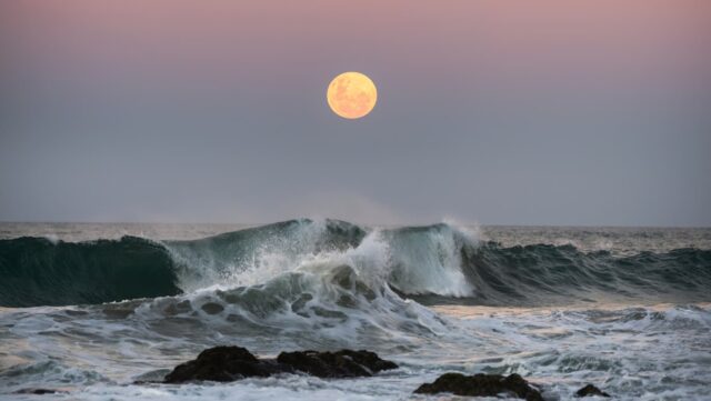 The Hunter's Moon is coming to Sydney