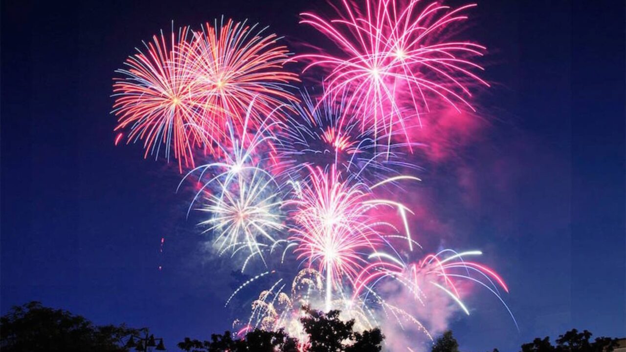 Pink and white fireworks explode in a nighttime sky above silhouetted trees