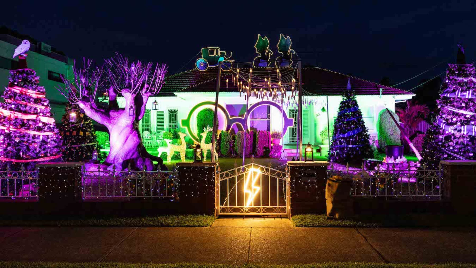 Harry Potter Christmas Lights