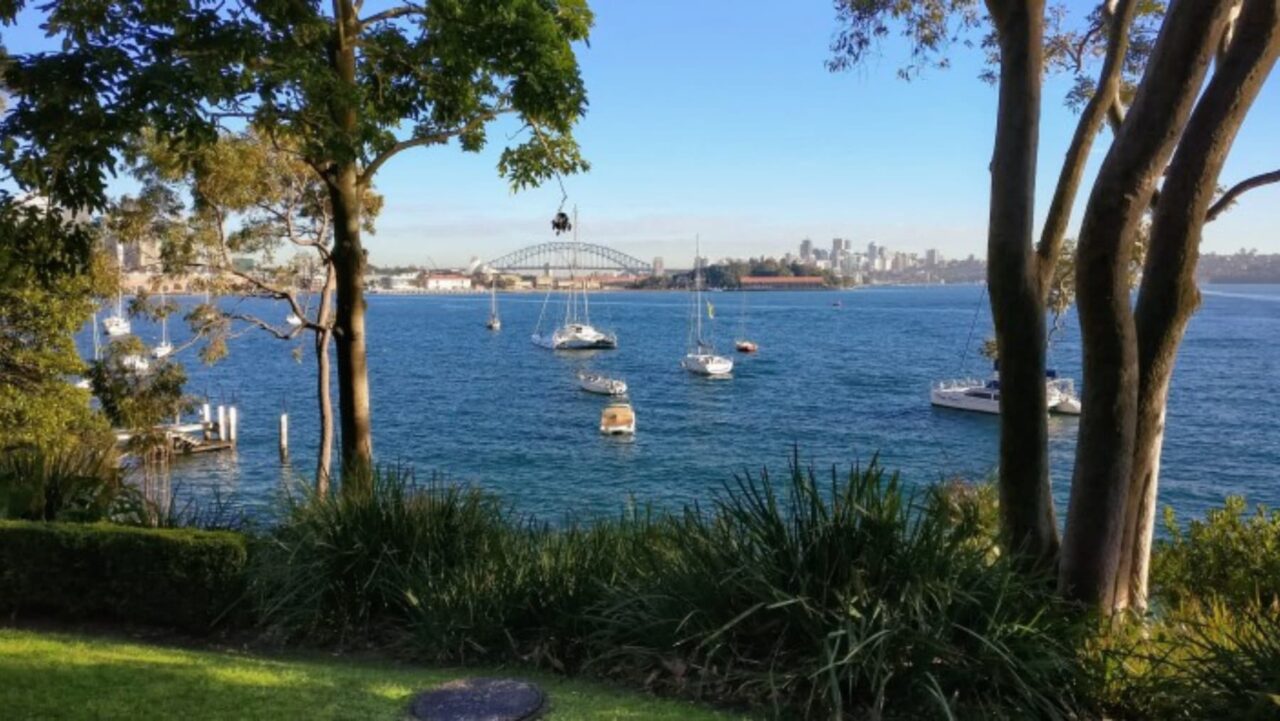 Several sailboats are moored on a calm bay, viewed from a lush