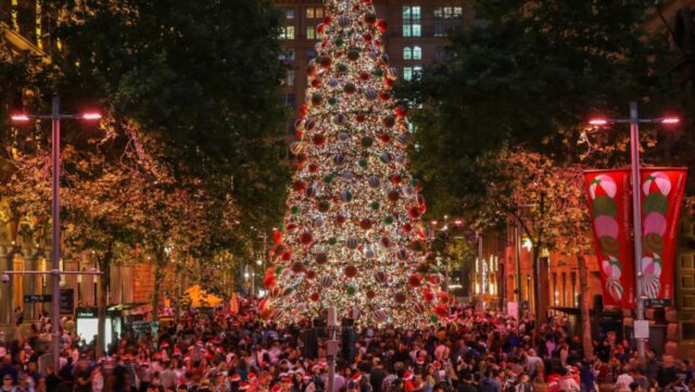 The Christmas tree in Martin Place
