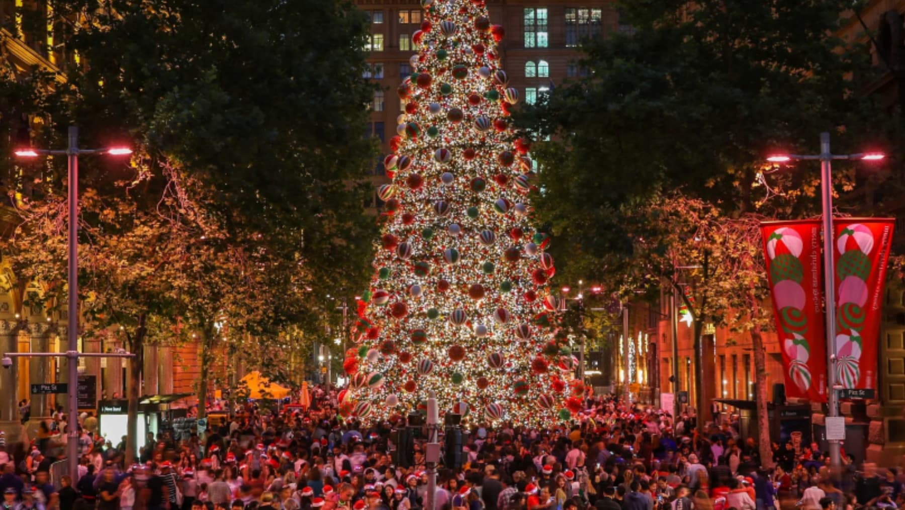 The Christmas tree in Martin Place