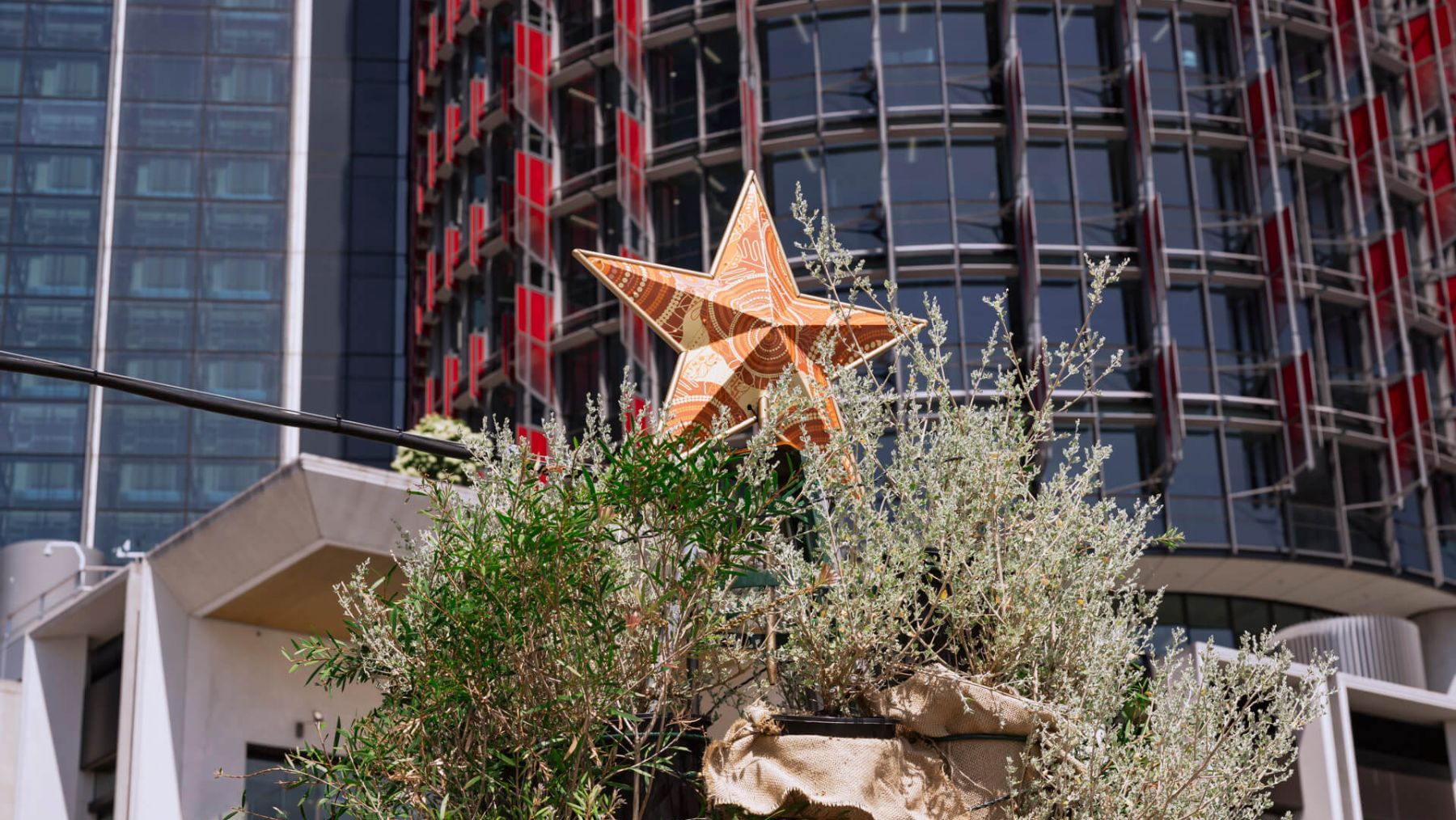 Barangaroo Christmas Tree
