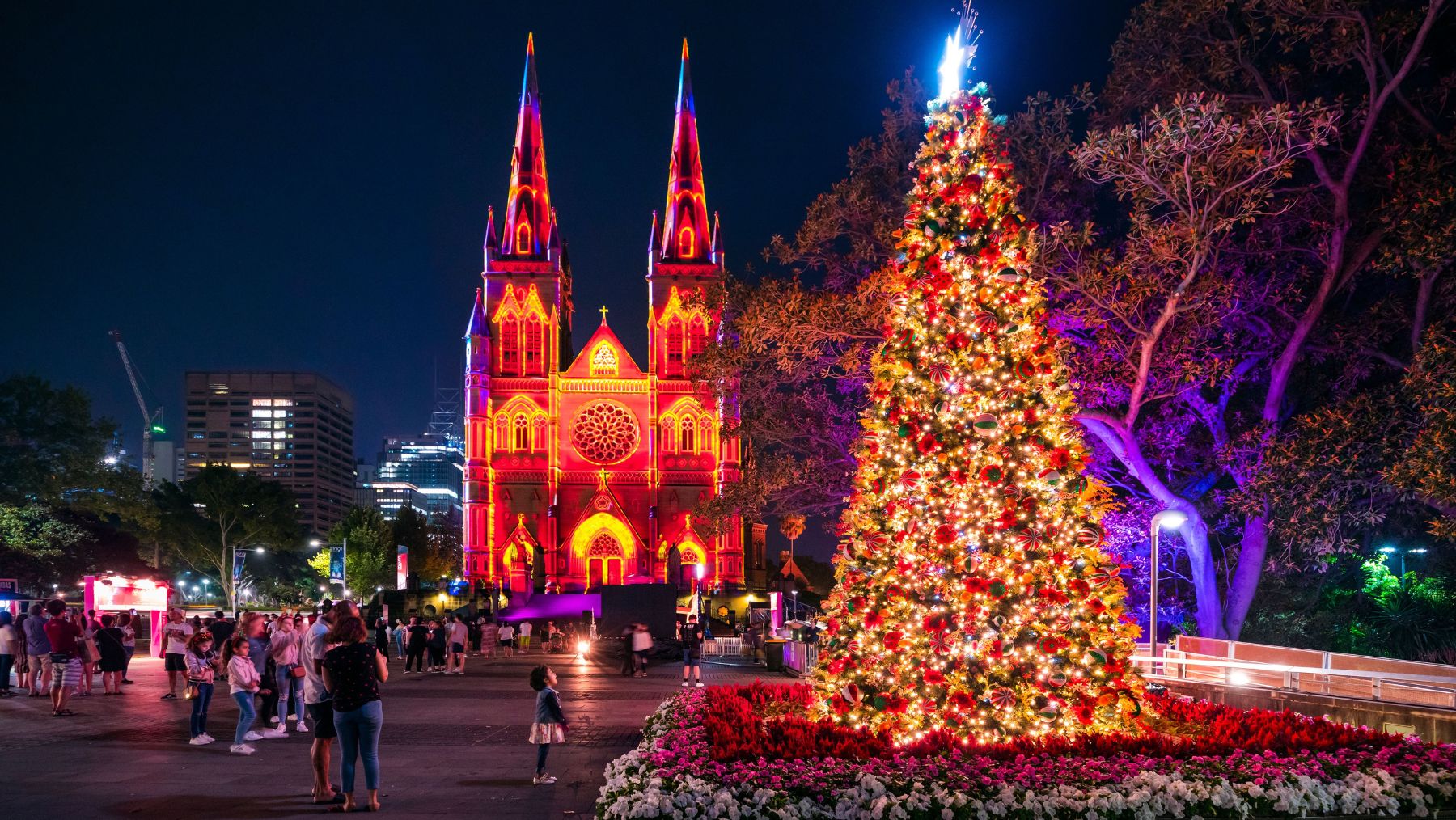 Christmas Lights and a christmas tree in Sydney