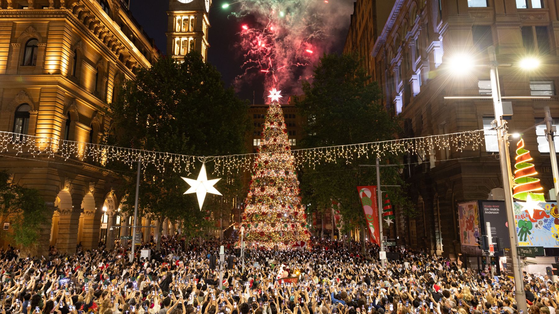 Martin Place Christmas tree
