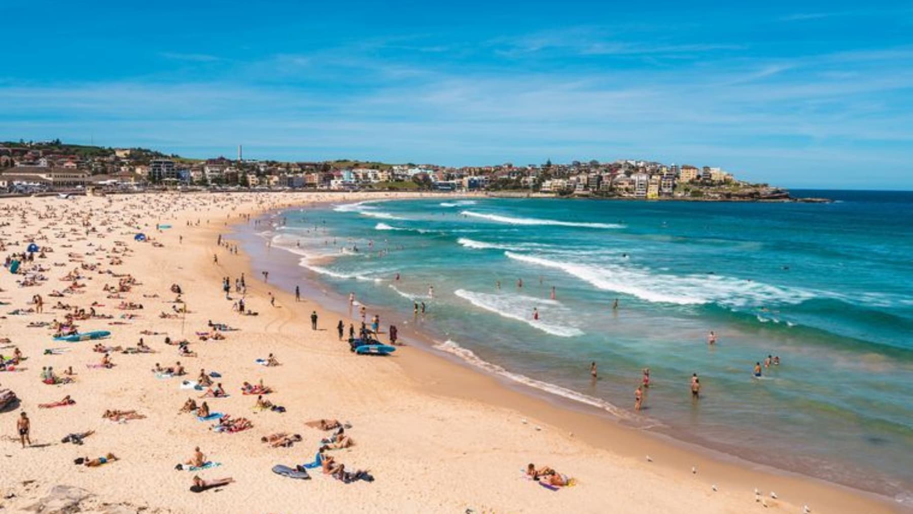 Christmas Day weather in Sydney is looking perfect