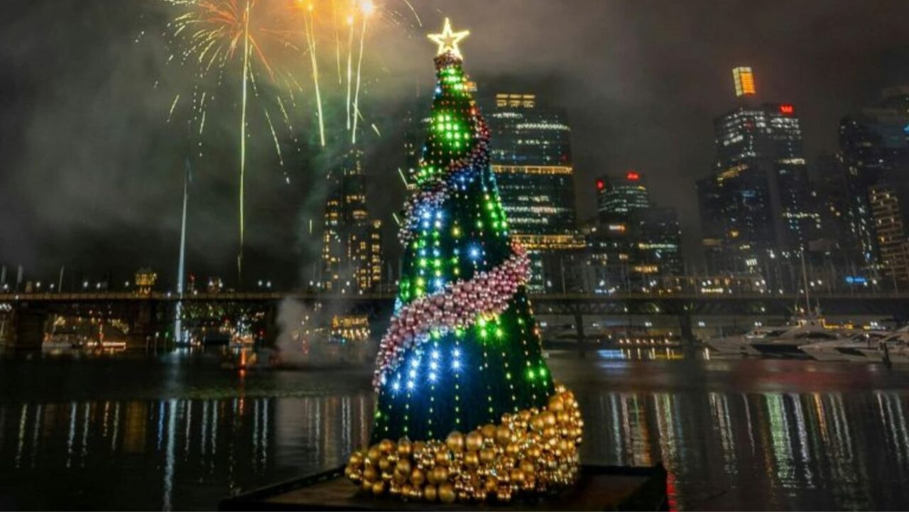 A large, illuminated Christmas tree stands on a waterfront
