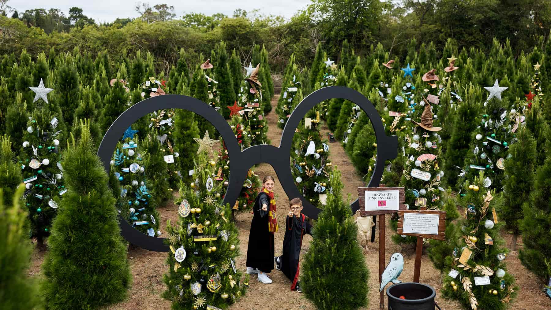 A Christmas Tree farm in Sydney dressed with Harry Potter decorations