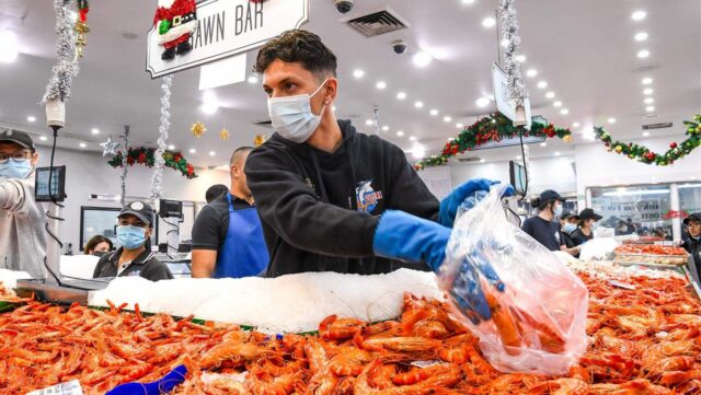 Prawns at Sydney Fish Market