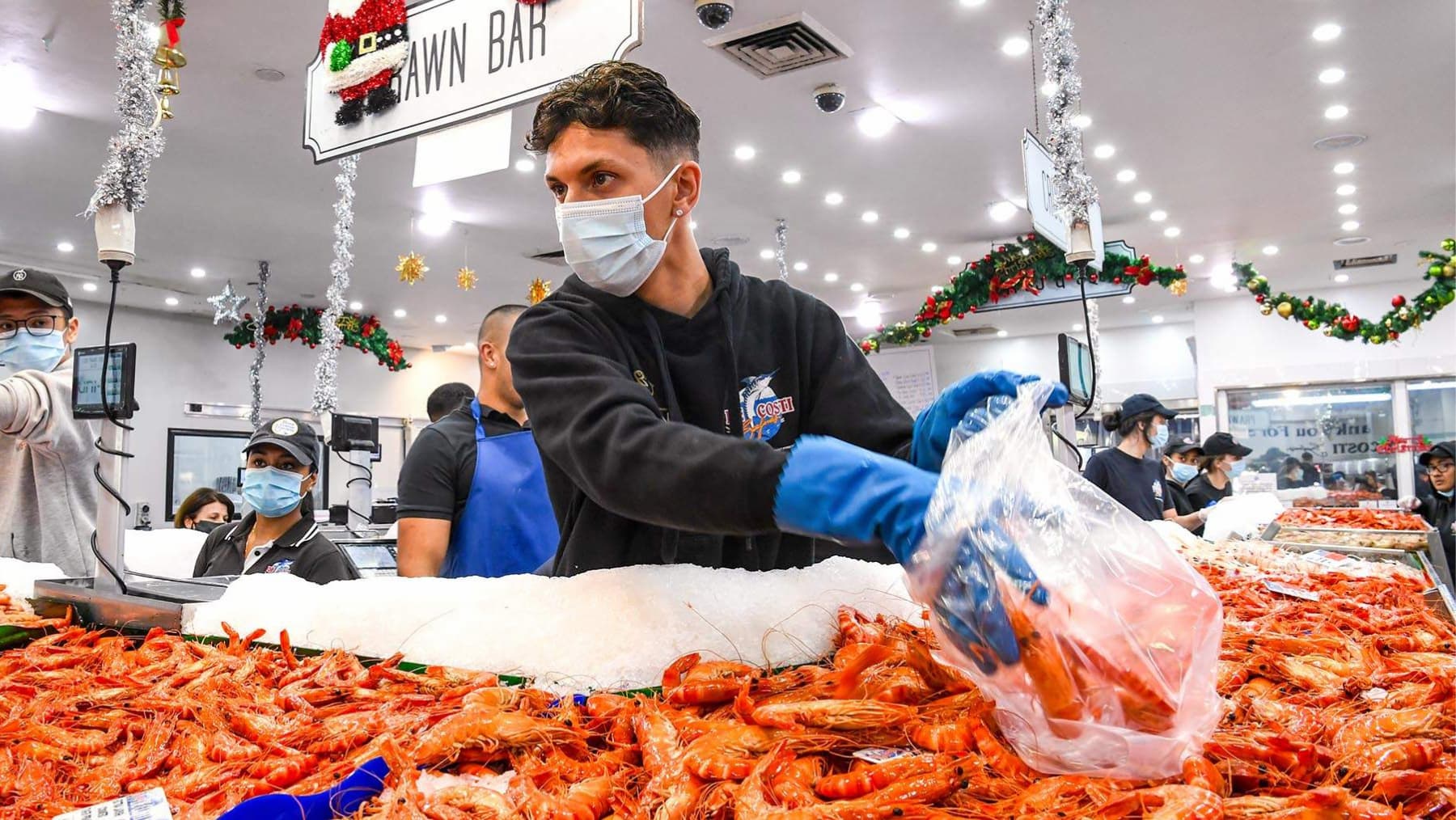 Prawns at Sydney Fish Market