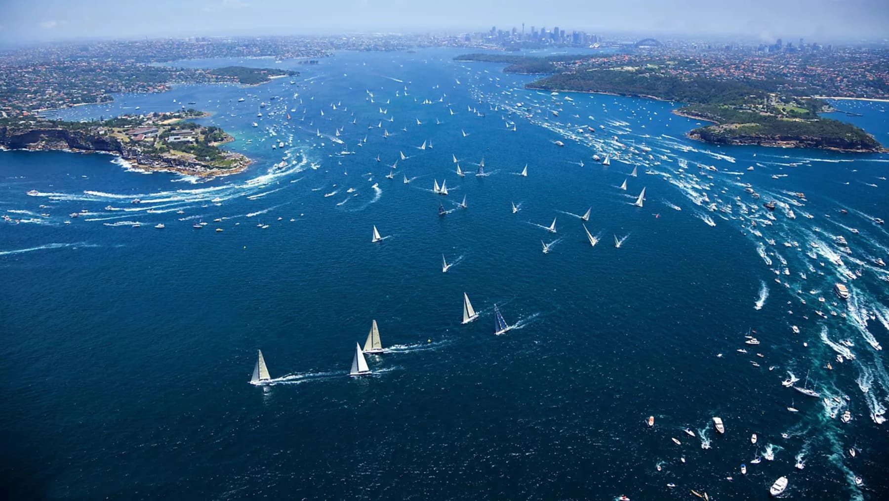 Hundreds of yachts racing on Sydney Harbour