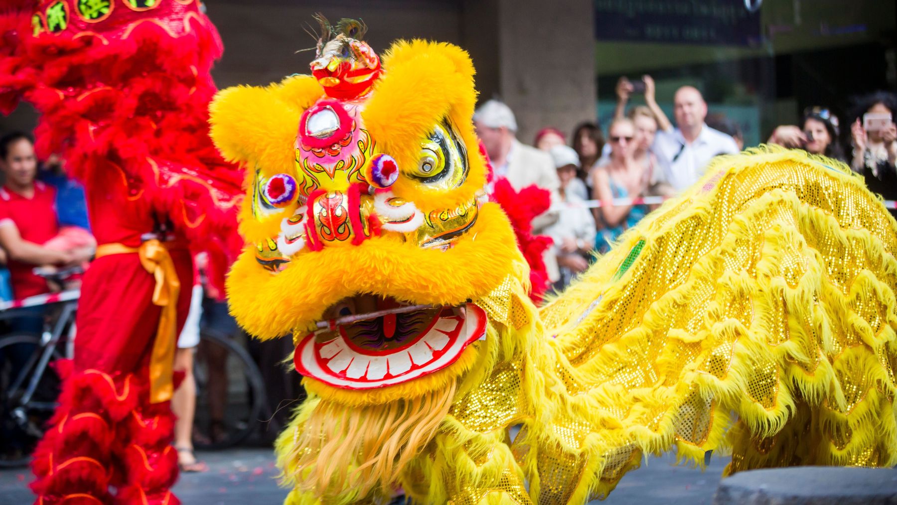 Lunar New Year Chinatown 1