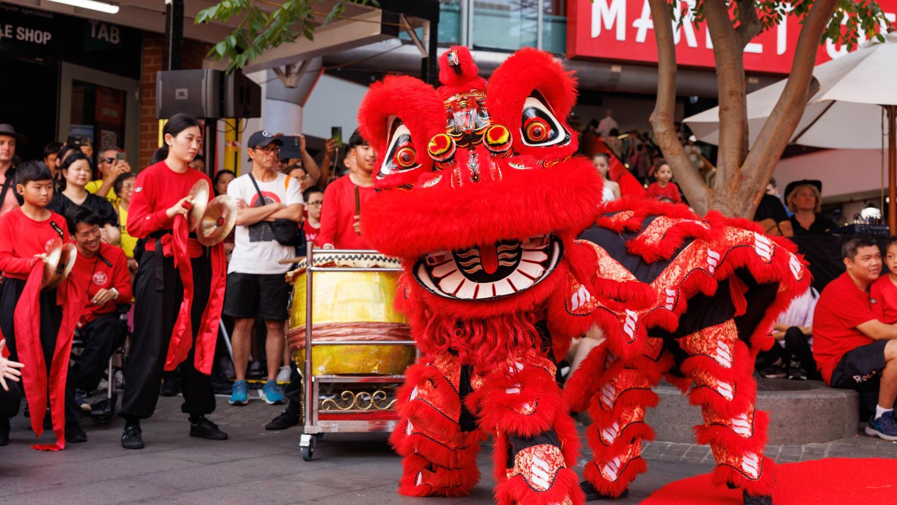 Lunar New Year Lion Dances City of Sydney