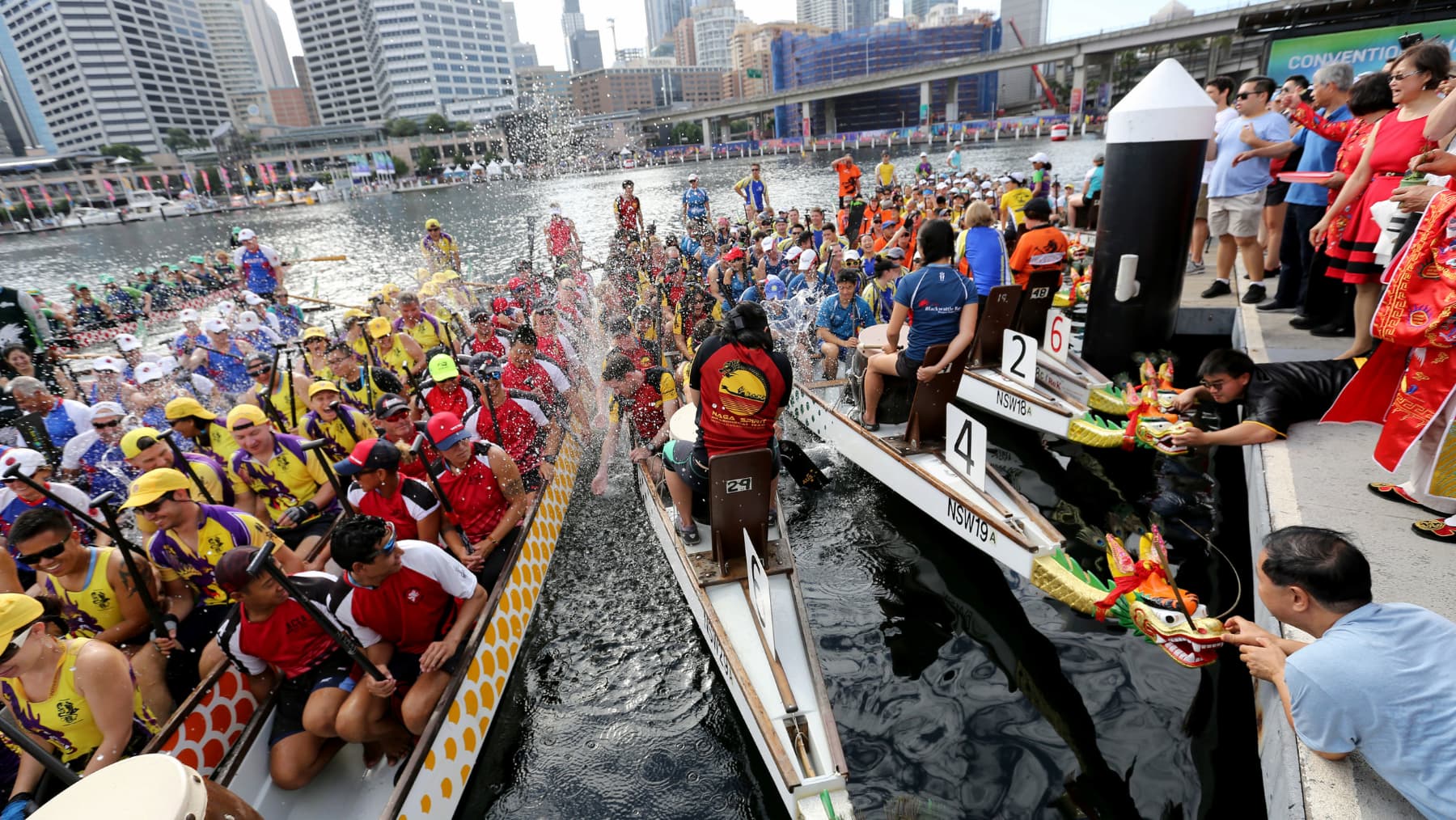 The Dragon Boat Festival in Sydney held to celebrate the Chinese New Year.