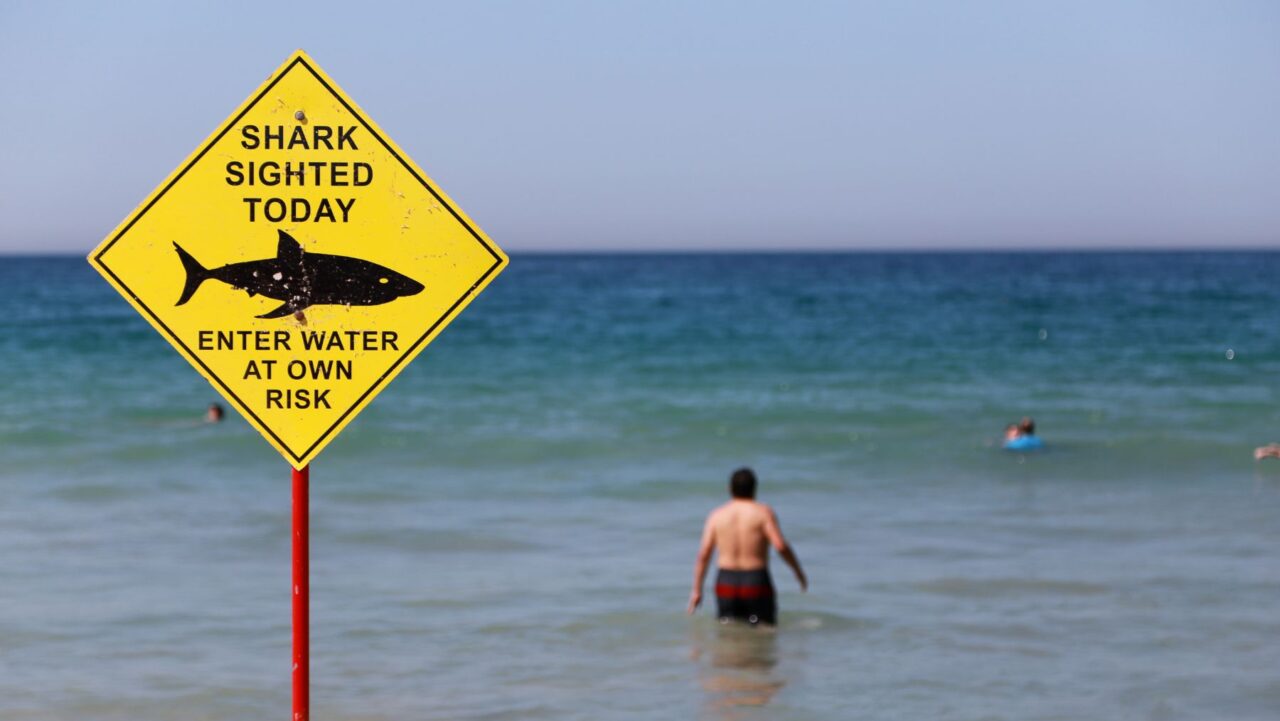 a bright yellow shark sign warning