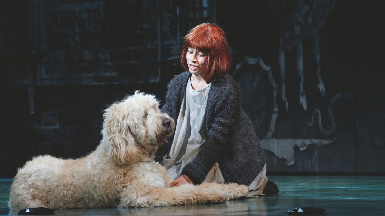 The new Annie musical stars real-life dogs.