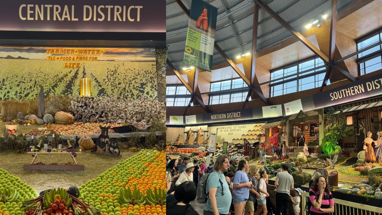 District display at Easter show
