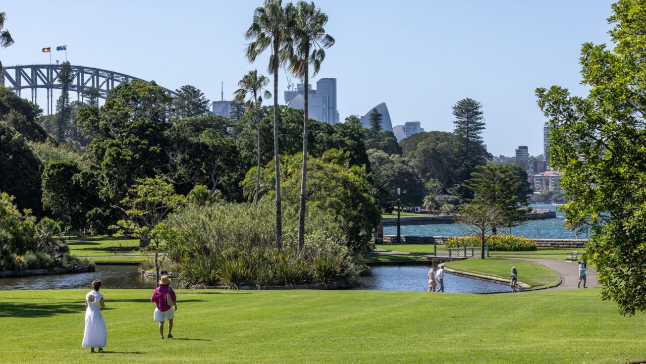 The Royal Botanic Gardens Sydney offer fantastic views of the harbour, Opera House and the Harbour Bridge.