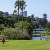 The Royal Botanic Gardens Sydney offer fantastic views of the harbour, Opera House and the Harbour Bridge.