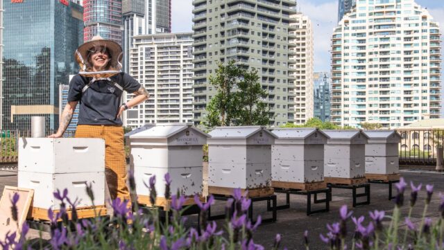 We met the Shangri-La Sydney beekeepers and found out how the honey is used throughout the five-star hotel.