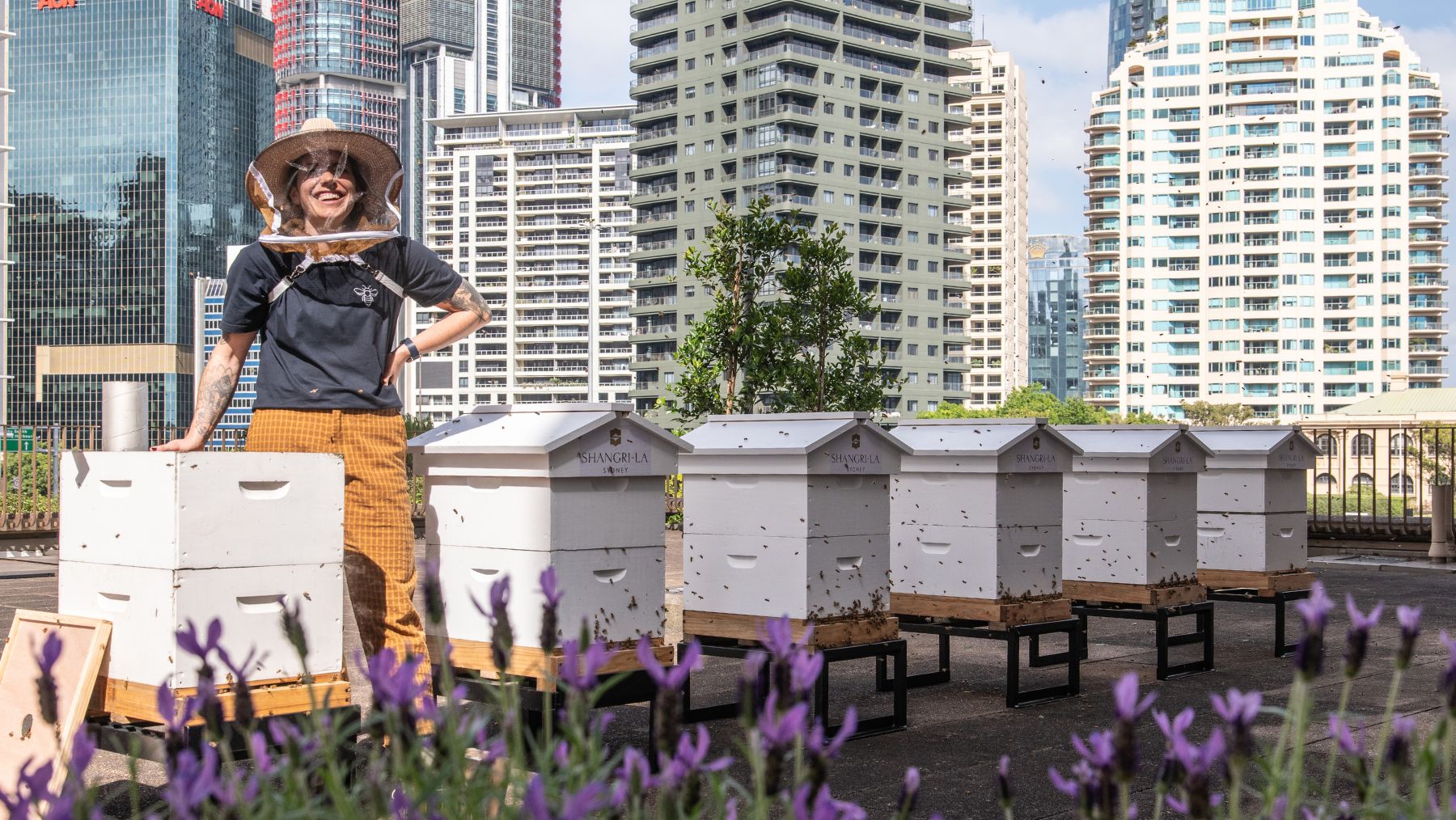 We met the Shangri-La Sydney beekeepers and found out how the honey is used throughout the five-star hotel.