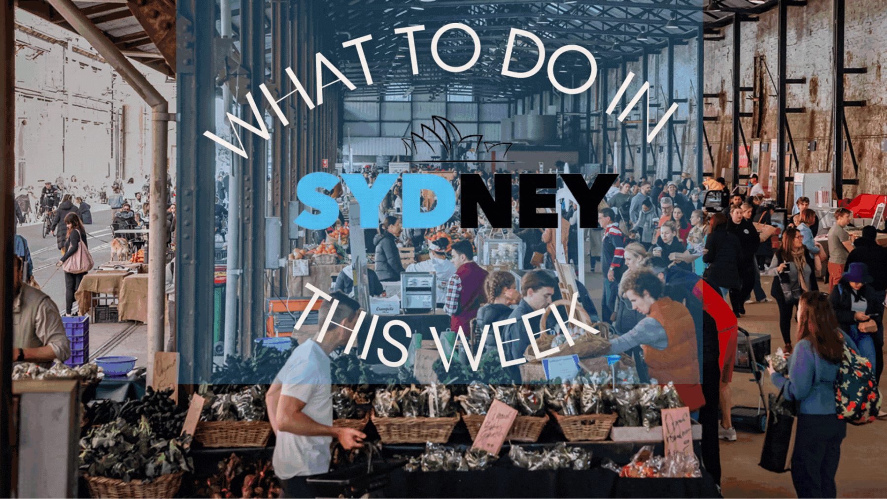 what to do in sydney this week