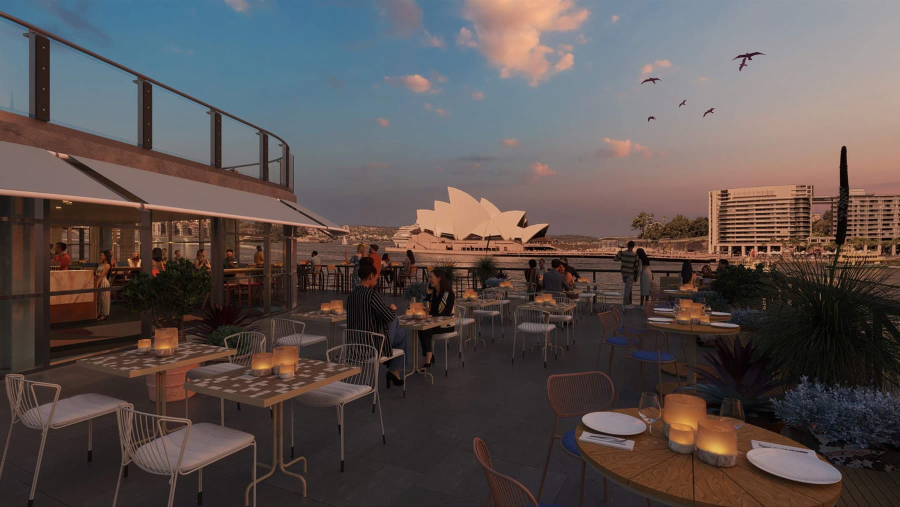 The new-look Cruise Bar in Sydney