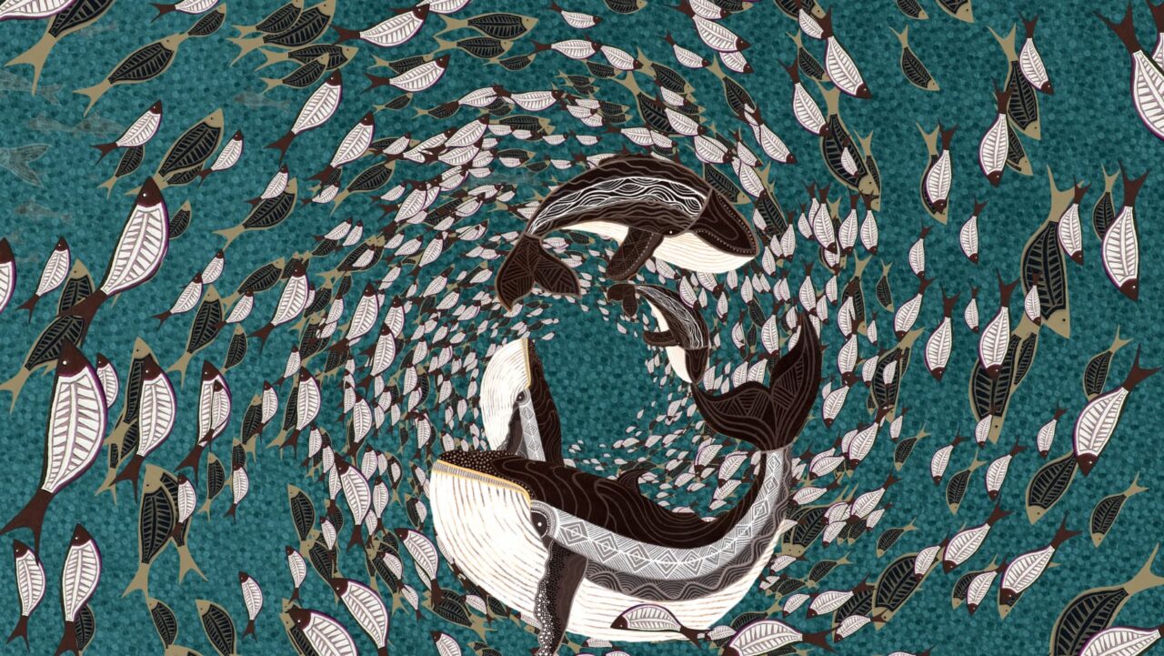 A projection of whales for Vivid Sydney