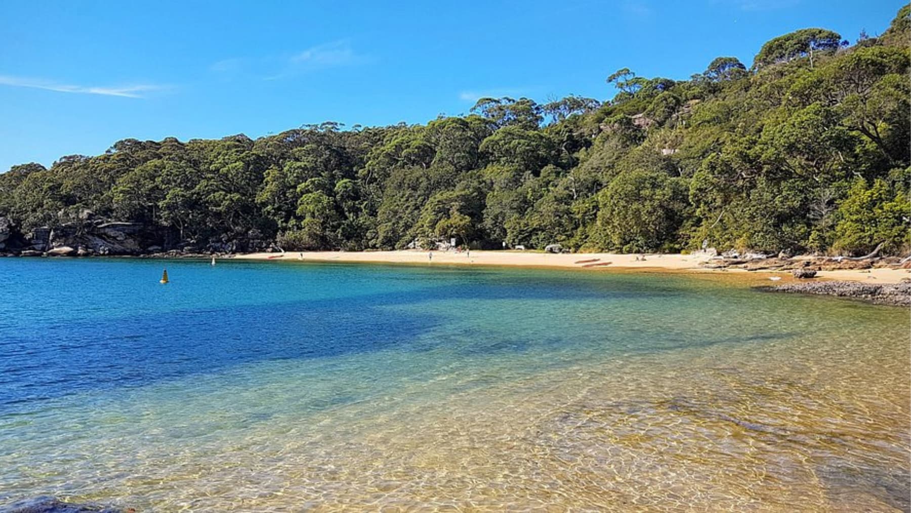 Top Things to Do in Manly: The Ultimate List