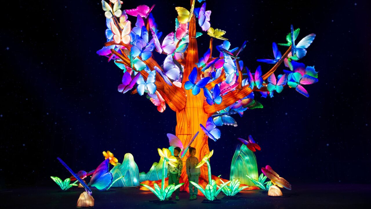 GLOW at Sydney Zoo is one of the many events that likely earned it a spot as one of the world's best cities for culture