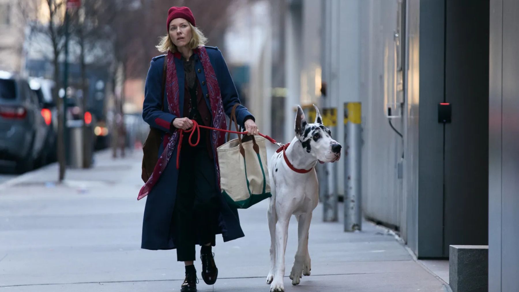 Naomi Watts in The Friend