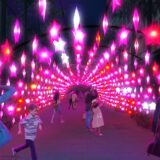 Starscape Vivid