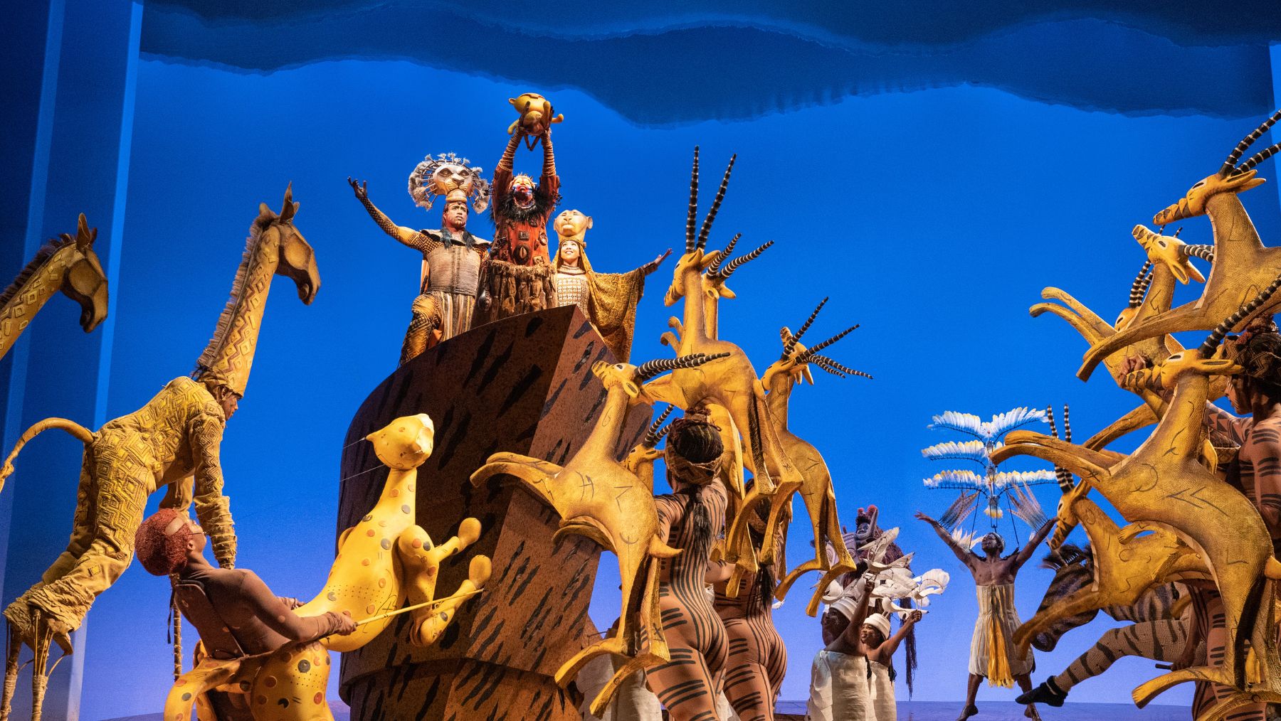 The Lion King Broadway show in Sydney
