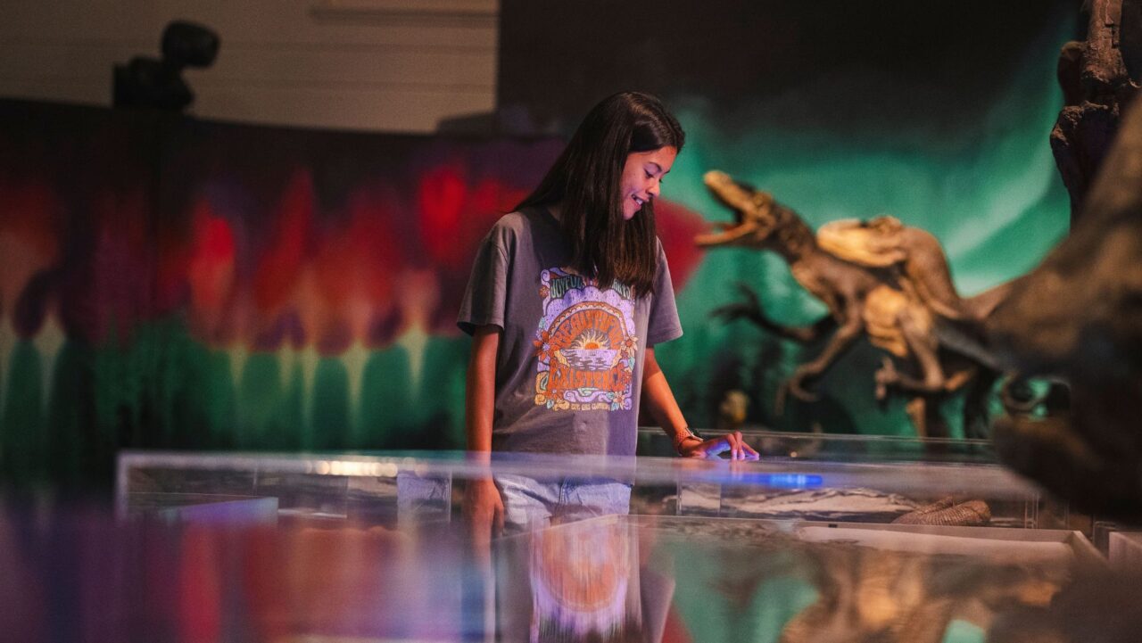 Young girl at Australian Museum