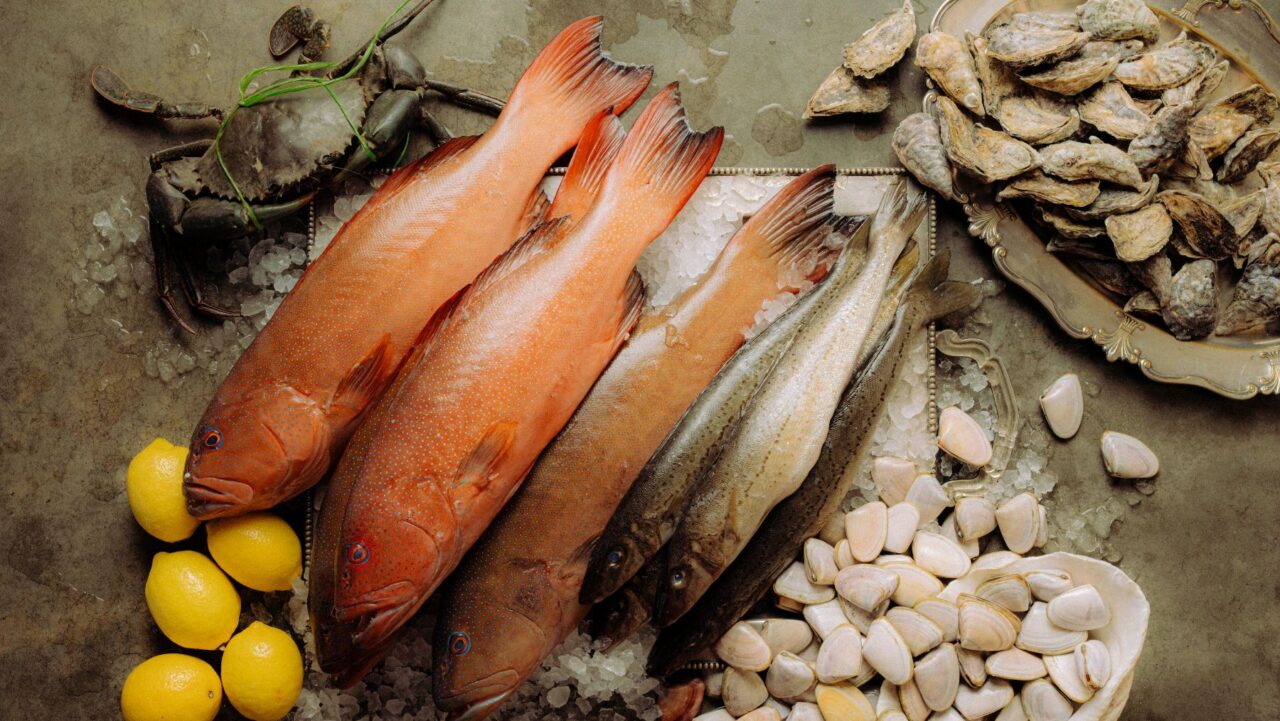 Felons Seafood will highlight the best Australian produce including oysters and grilled fish