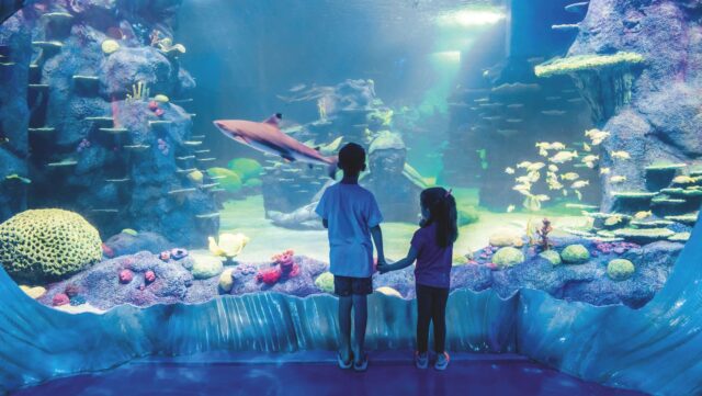 Children at SEA LIFE Sydney