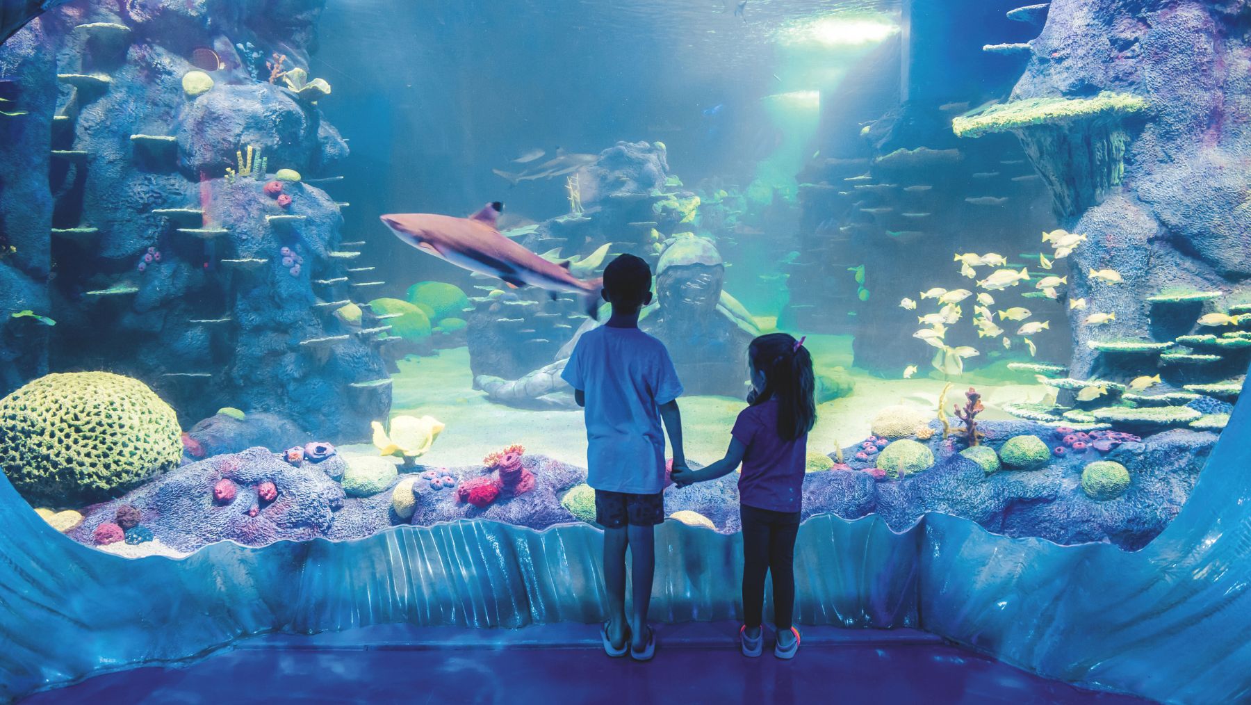 Children at SEA LIFE Sydney