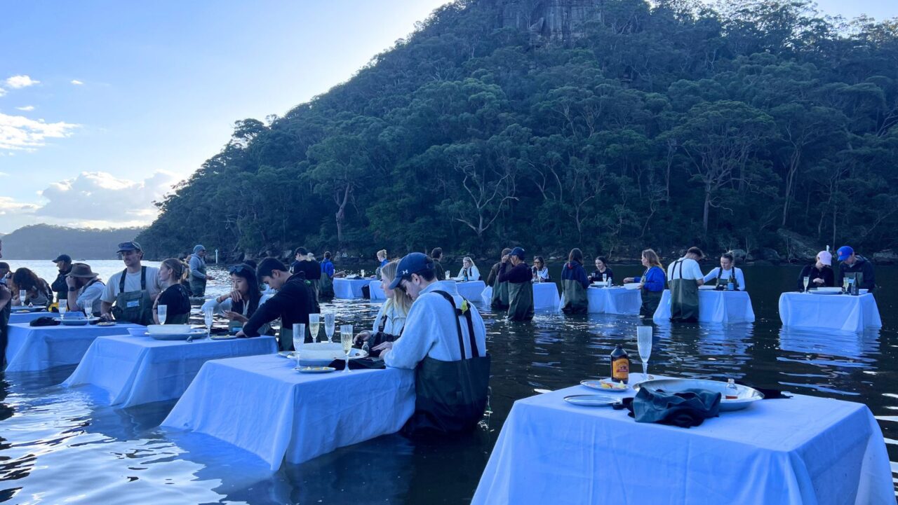 Oyster farm tables