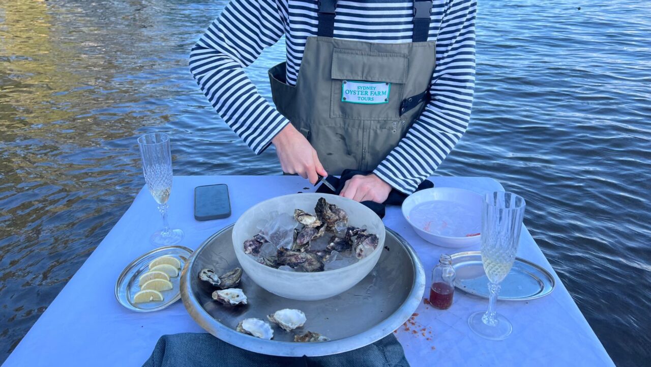 shucking oysters