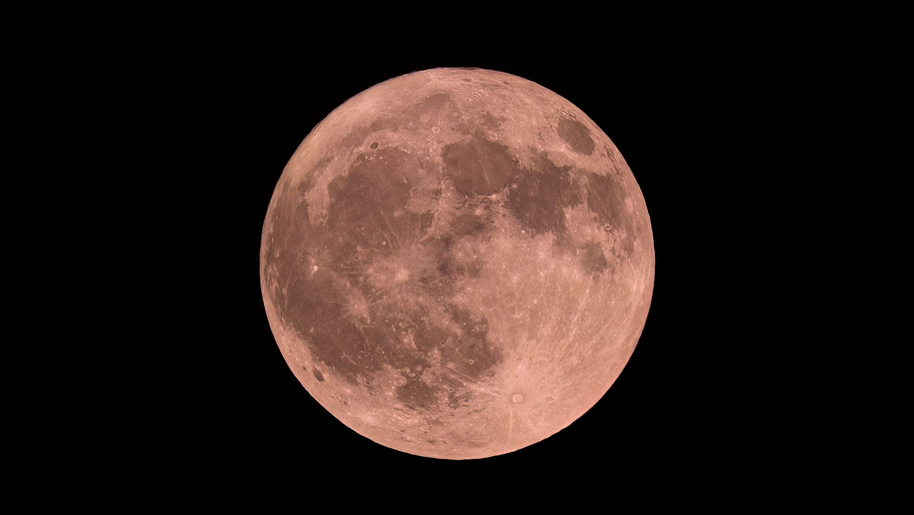 Strawberry Full Moon will be visible in Sydney