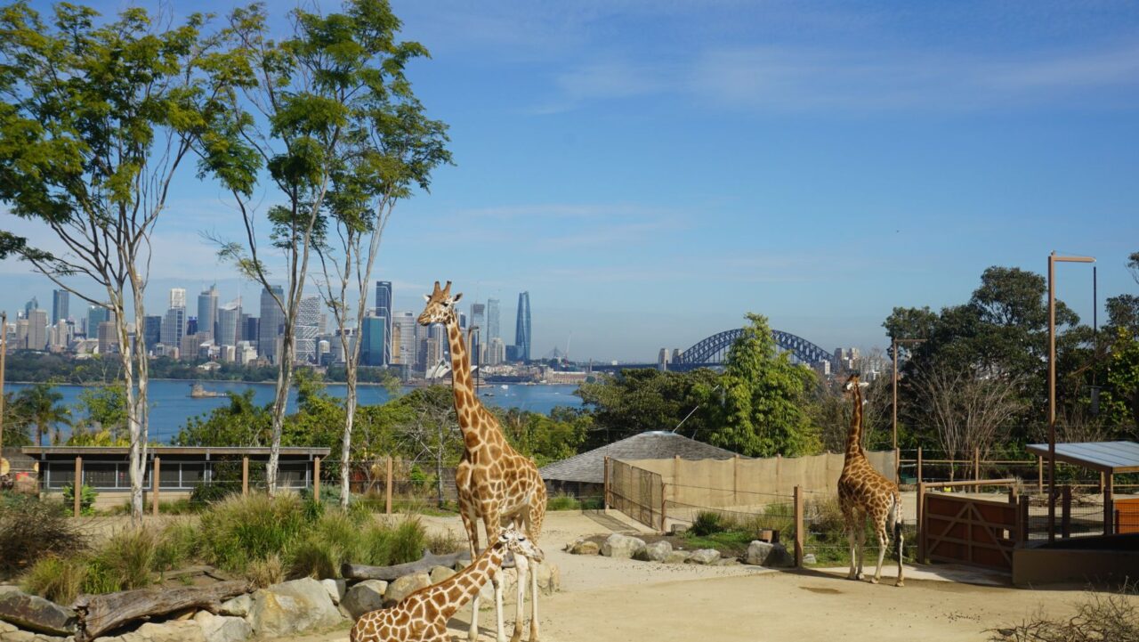 Taronga Zoo